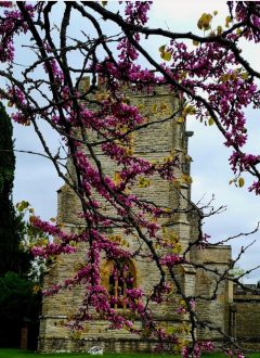 St Andrew’s Church April Services